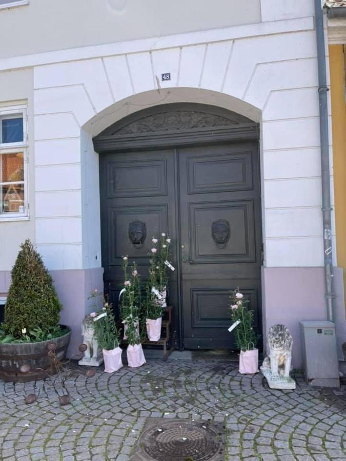 Apothekergaarden Stege Stuen Mod Gardhaven Bed & Breakfast Exterior foto
